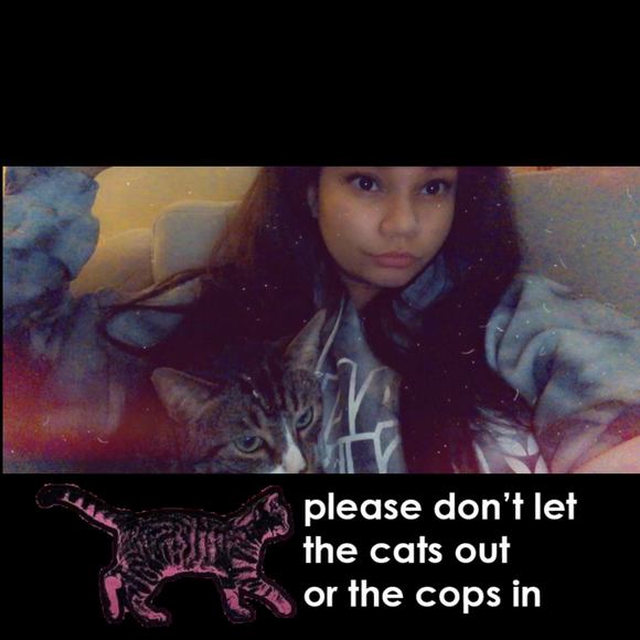 Meet your Posher, Bree - Picture 1 of 1